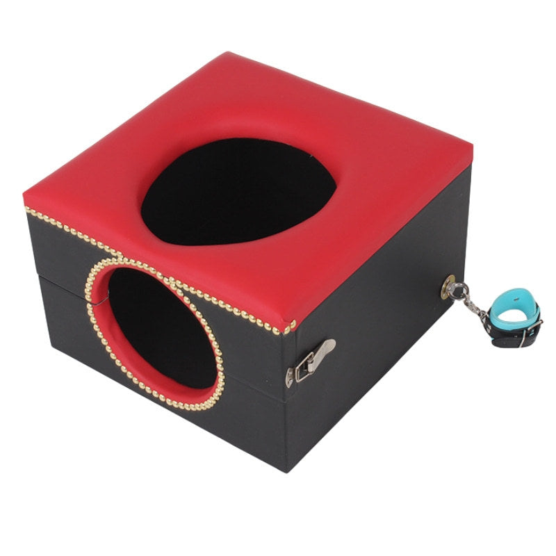 TRÔNE DE DOMINATION – BOX "FACE SITTING QUEEN" POUR ESCLAVE MASCULIN