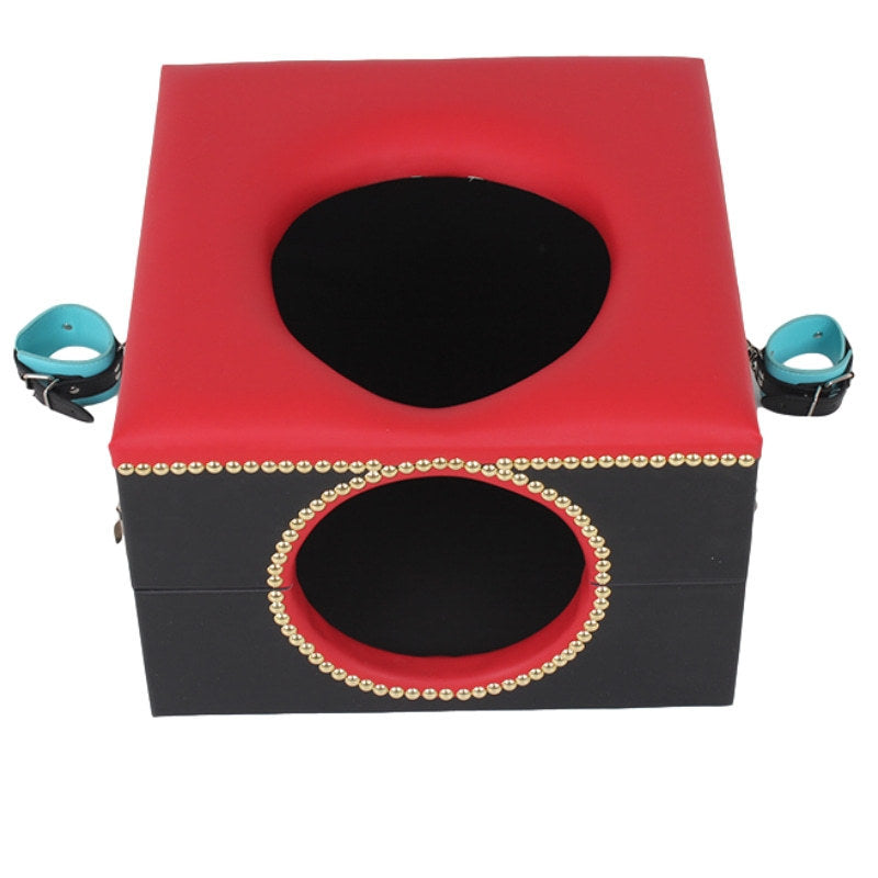 TRÔNE DE DOMINATION – BOX "FACE SITTING QUEEN" POUR ESCLAVE MASCULIN