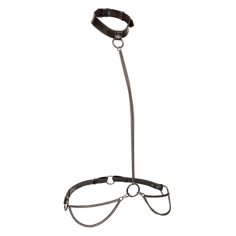 CALEXOTICS - EUPHORIA COLLIER LICOL ET LAISSE GRANDE TAILLE CALEXOTICS