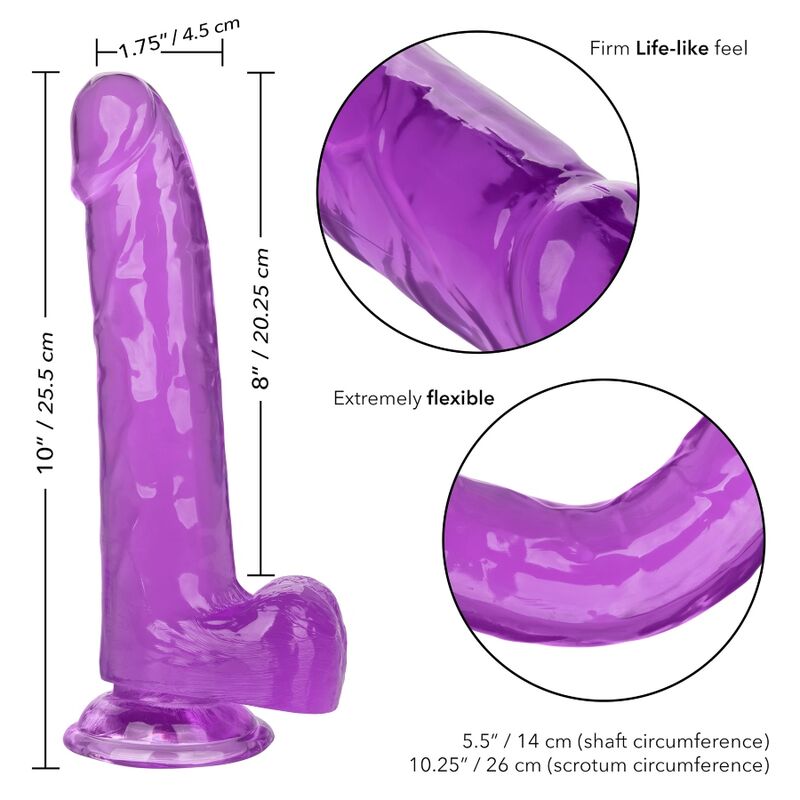 CALEXOTICS - GODE REINE TAILLE VIOLET 20.3 CM CALEXOTICS