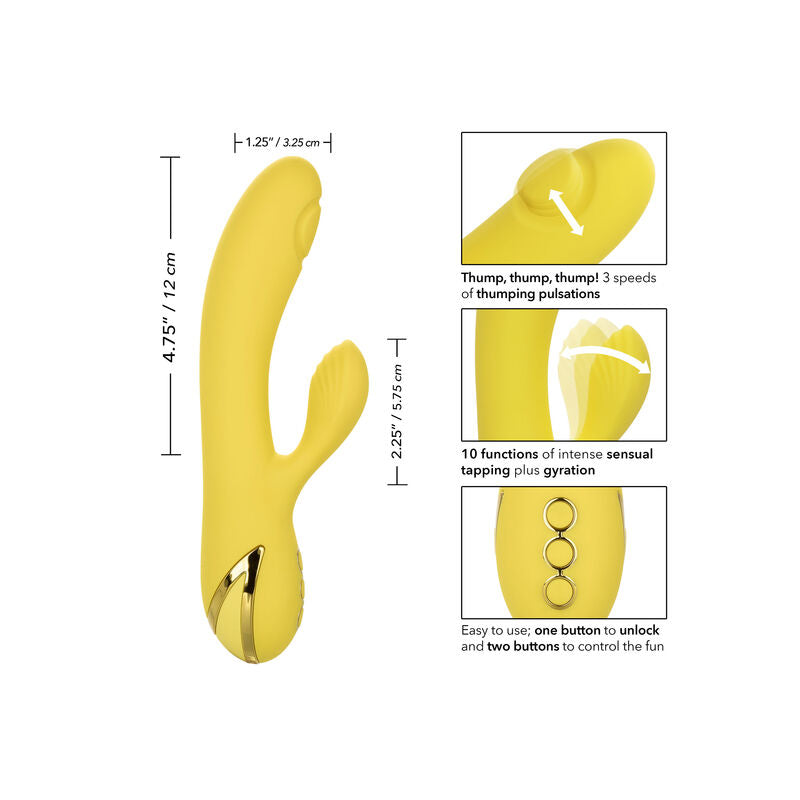 CALEXOTICS - SAN DIEGO SÉDUCTION CALEXOTICS