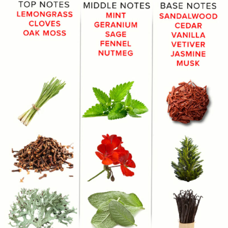 EYE OF LOVE - PARFUM AUX PHÉROMONES EOL 10 ML - ROMANTIC EYE OF LOVE