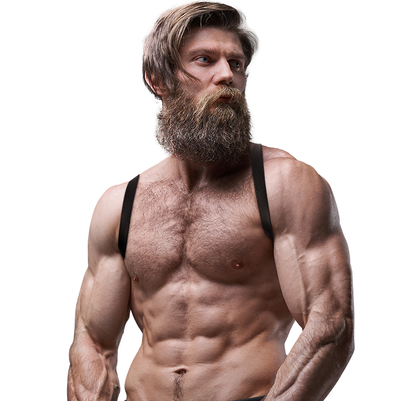 FETISH SUBMISSIVE ATTITUDE - HARNAIS DOS EN ÉCO-CUIR POUR HOMMES FETISH SUBMISSIVE ATTITUDE