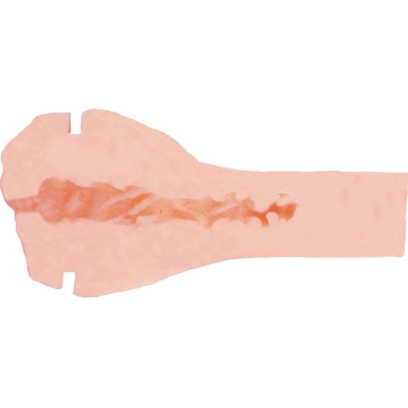 PRIVATE - MASTURBATEUR HORNY COUGAR À ALLER PRIVATE