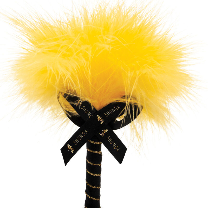 SHUNGA - KIT DE POUDRE DE MASSAGE COMESTIBLE MANGUE SHUNGA BODY POWER