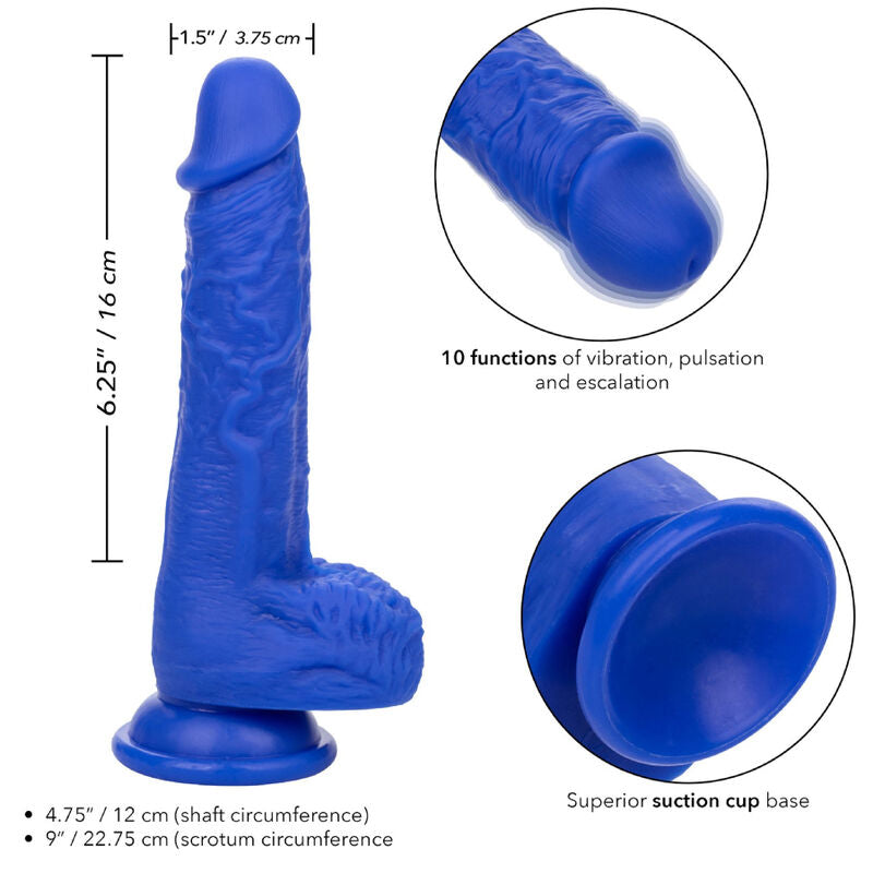 CALEXOTICS - ADMIRAL VIBRATEUR GODE RÉALISTE SAILOR BLEU CALEXOTICS