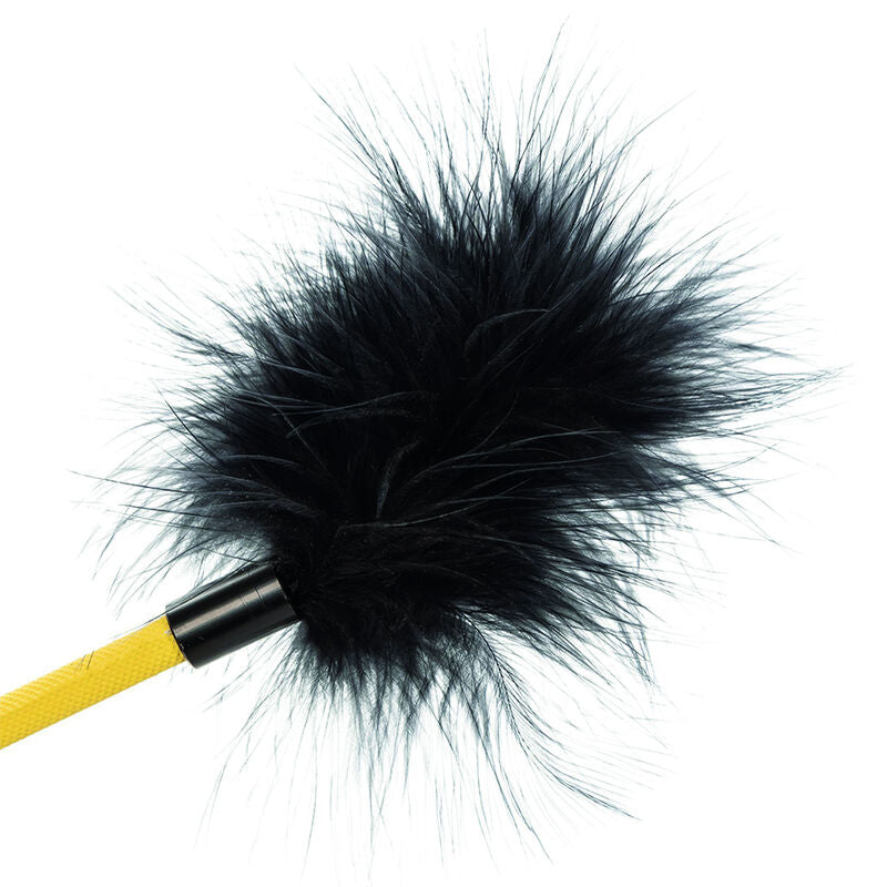 CALEXOTICS - BOUNDLESS RÉCOLTE DE PLUMES CALEXOTICS