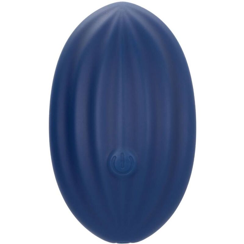 CALEXOTICS - CASHMERE VELOURS CURVE BLEU CALEXOTICS