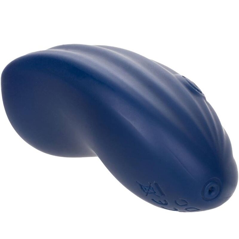 CALEXOTICS - CASHMERE VELOURS CURVE BLEU CALEXOTICS