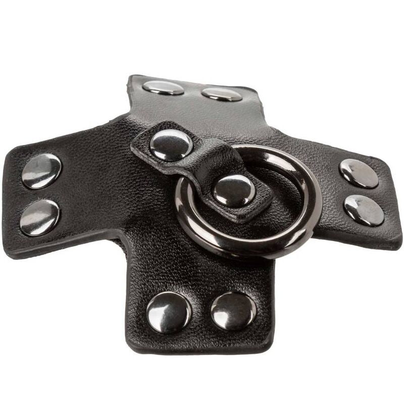 CALEXOTICS - EUPHORIA JOINT TORIQUE NOIR CALEXOTICS