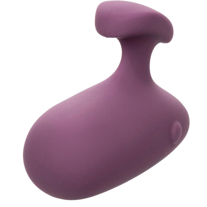 CALEXOTICS - STIMULATEUR MOD TOUCH VIOLET CALEXOTICS
