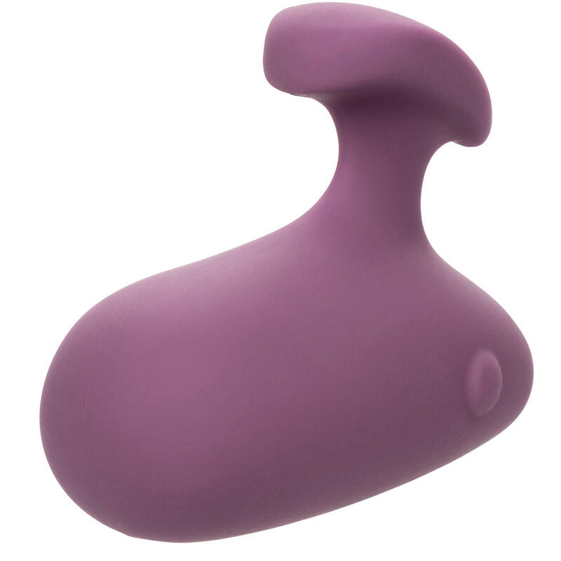 CALEXOTICS - STIMULATEUR MOD TOUCH VIOLET CALEXOTICS