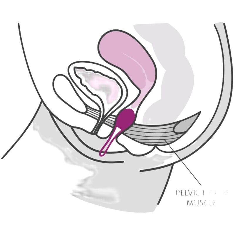 FUN FACTORY - SMARTBALL UNO PELVIC BALL BLANC / VIOLET PASTEL FUN FACTORY