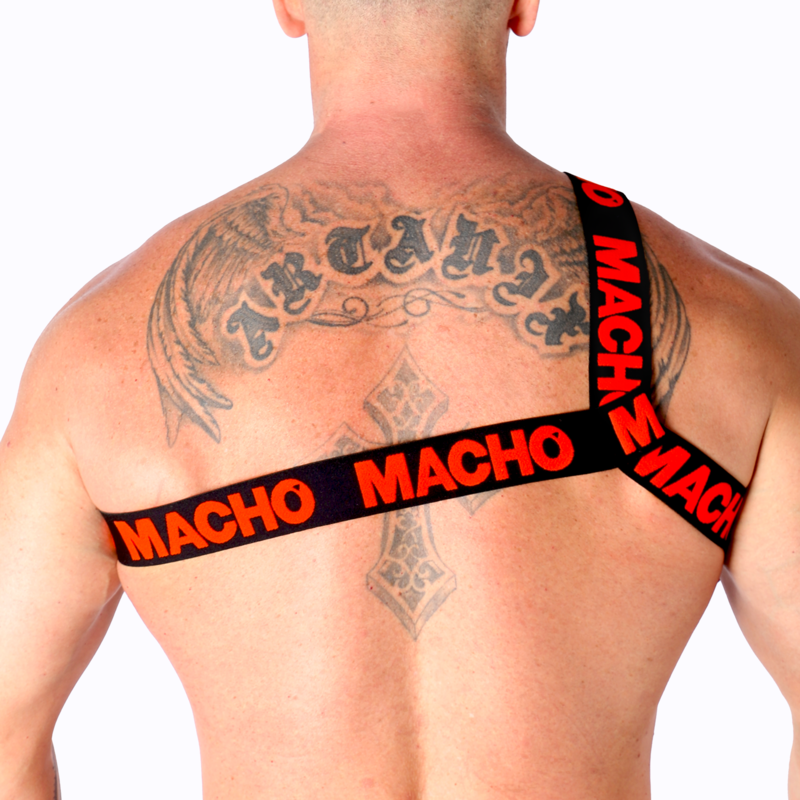 MACHO - HARNAIS ROMAIN BLANC S/M MACHO UNDERWEAR