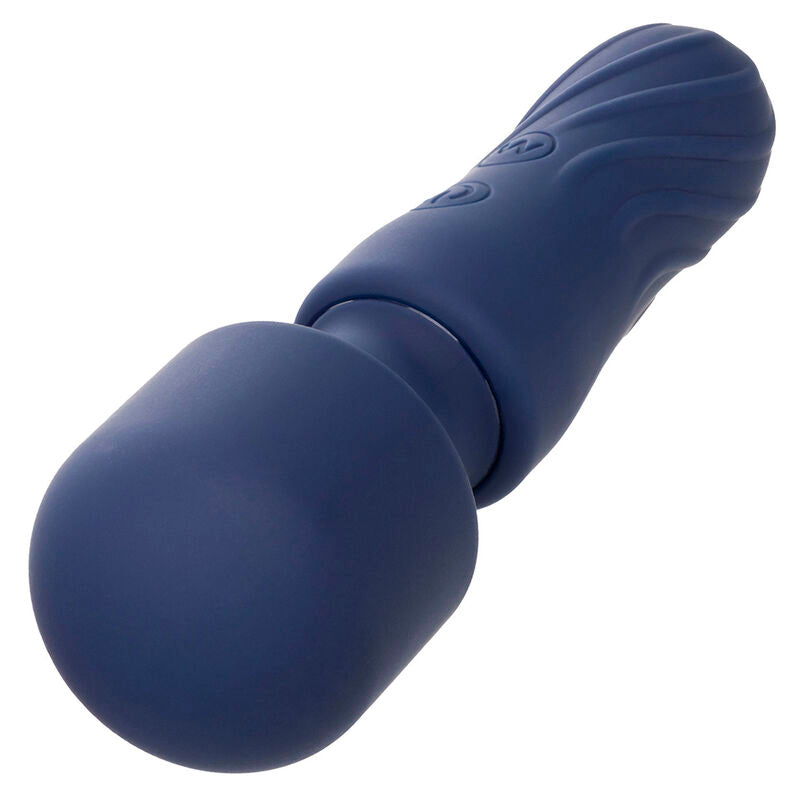 CALEXOTICS - CHARISMA CHARM MASSEUR 12 FONCTIONS VIOLET CALEXOTICS