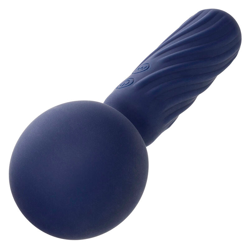 CALEXOTICS - CHARISMA SEDUCTION MASSEUR 12 FONCTIONS 17,75 CM X 6,25 CM VIOLET CALEXOTICS