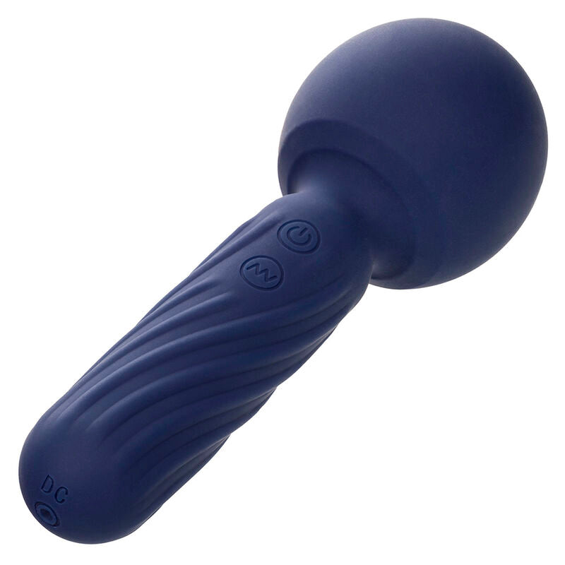 CALEXOTICS - CHARISMA SEDUCTION MASSEUR 12 FONCTIONS 17,75 CM X 6,25 CM VIOLET CALEXOTICS