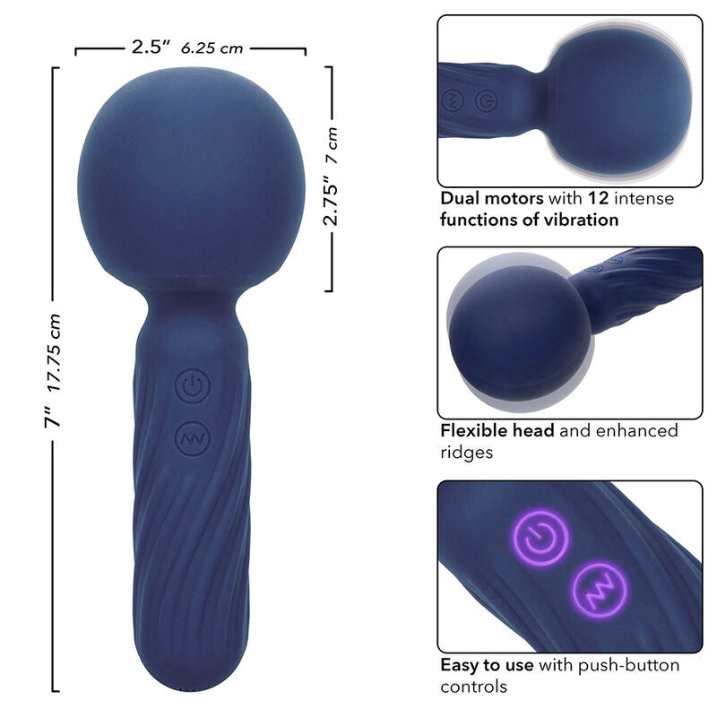 CALEXOTICS - CHARISMA SEDUCTION MASSEUR 12 FONCTIONS 17,75 CM X 6,25 CM VIOLET CALEXOTICS