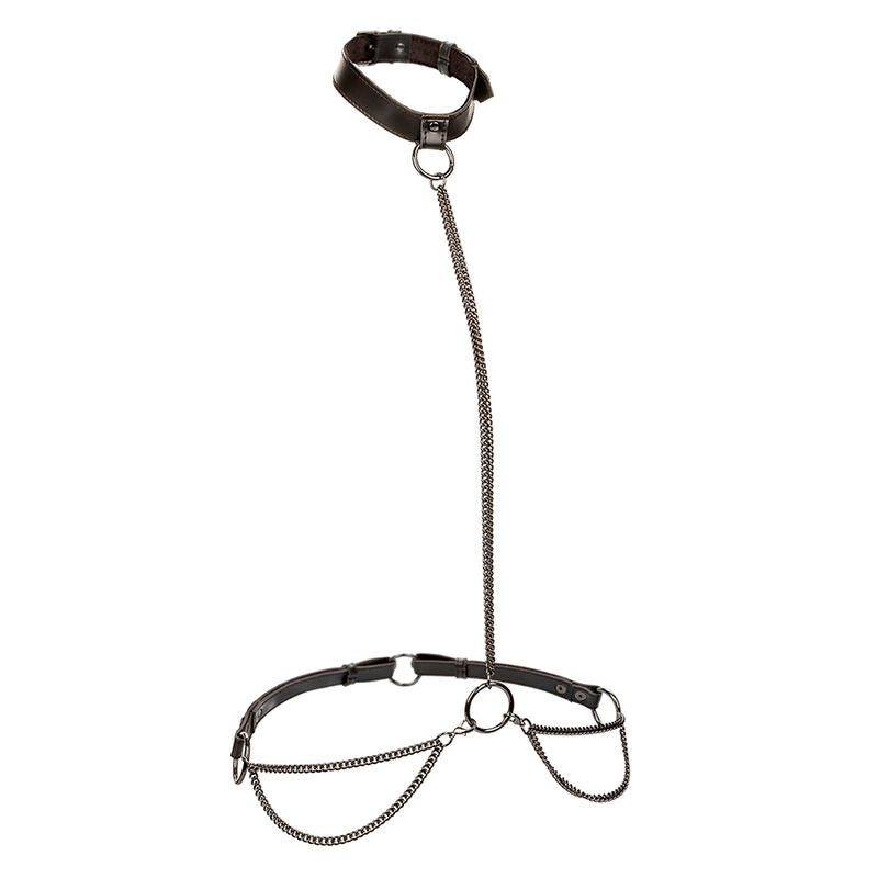 CALEXOTICS - EUPHORIA COLLIER ET LAISSE CHAINE CALEXOTICS