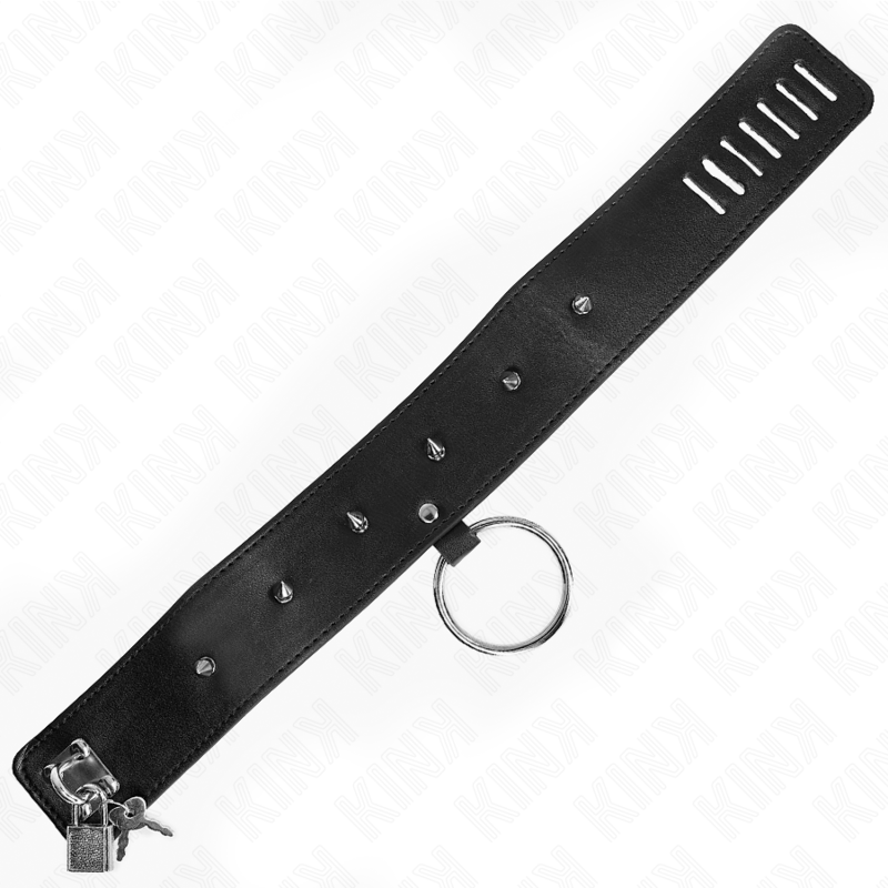 KINK - COLLIER 65 CM AVEC LAISSE AVEC CLOUS ARGENTÉS MODÈLE 2 RÉGLABLE 36-43 CM X 5 CM KINK COLLAR & GAG