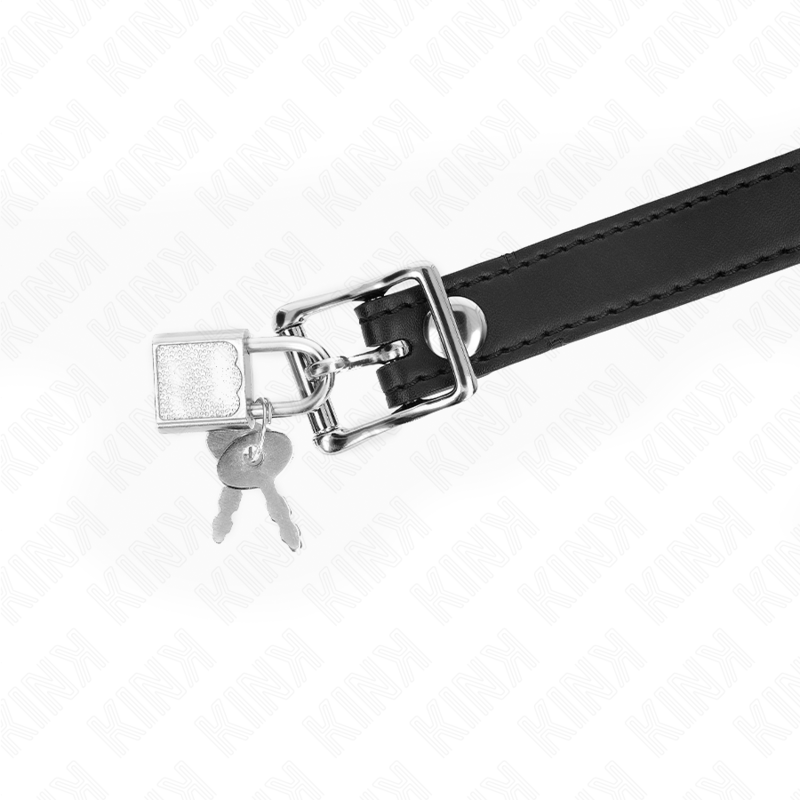 KINK - MODÈLE 1 BILLE EN SILICONE 4 CM BAG AVEC SERRURE 60 x 2 CM KINK COLLAR & GAG