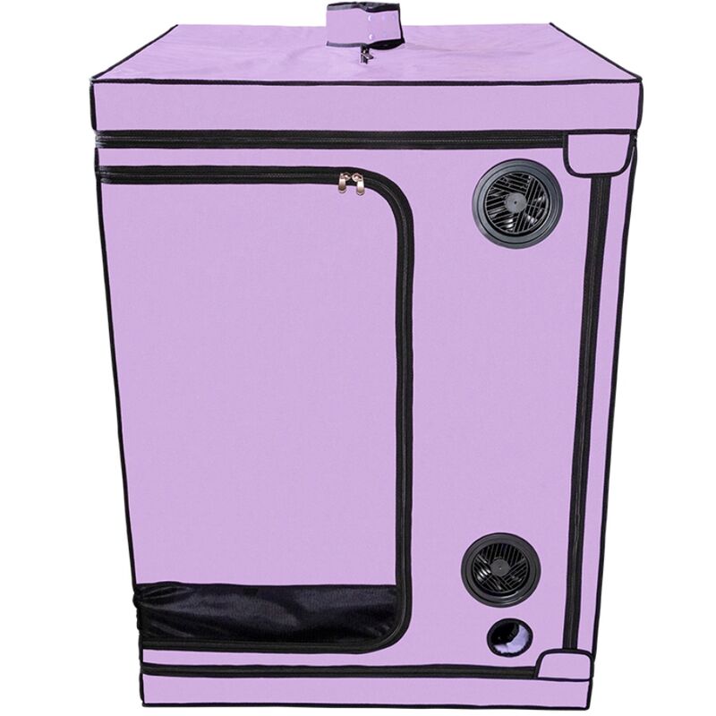 SECRET DOME - KINK CLUB CABINE SCANDALE PURPLE