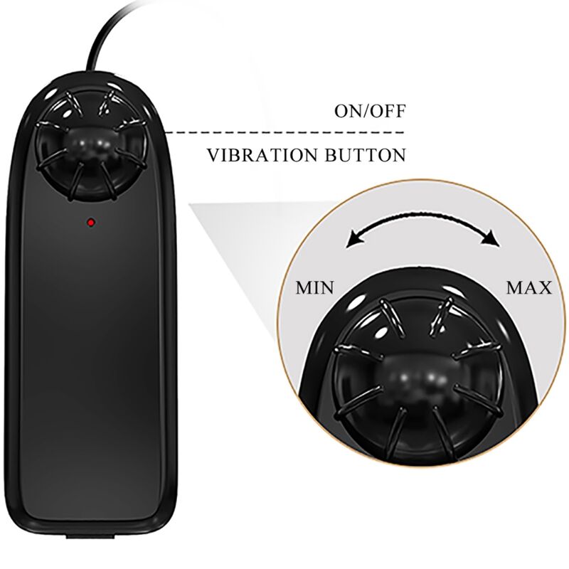 CRAZY BULL - VIBRATEUR KYLIE ASS AVEC TÉLÉCOMMANDE RÉALISTE VAGIN ET ANUS CRAZY BULL