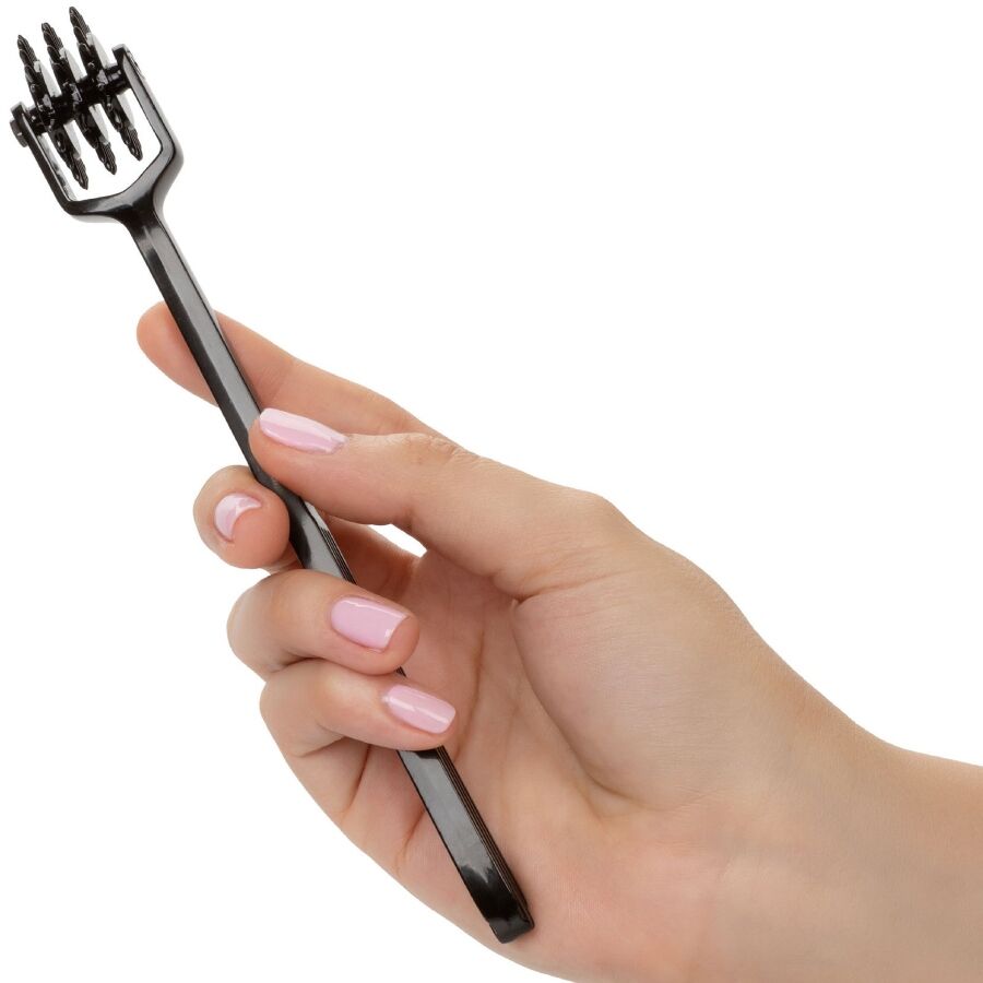 CALEXOTICS - SCANDALE TRIPLE ROUE DU PLAISIR CALEXOTICS