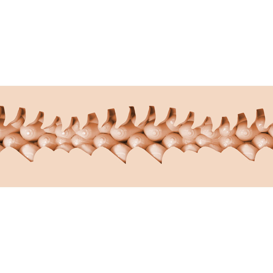 FLESHLIGHT FANTASY - EVIE AKASHIYA VAGIN FLESHLIGHT FANTASY