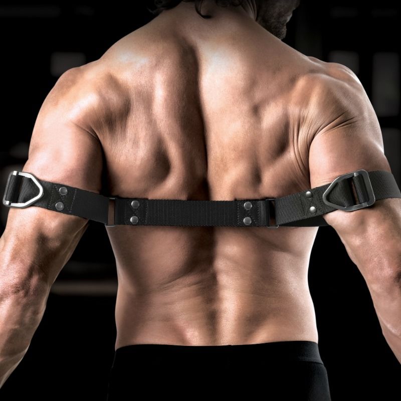 SIR RICHARDS - COMMANDEMENT BICEPS BENDER SIR RICHARDS