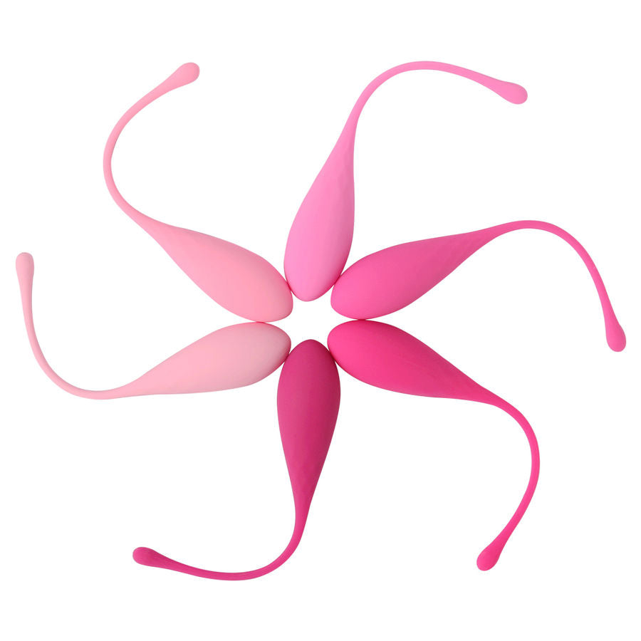 LESLIE - KEGEL FIT ENSEMBLE D'ENTRAÎNEMENT MUSCULAIRE PELVIEN 6 PCS LESLIE