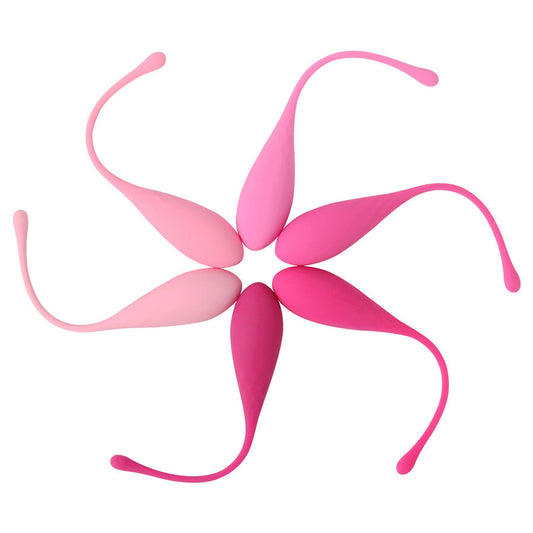 LESLIE - KEGEL FIT ENSEMBLE D'ENTRAÎNEMENT MUSCULAIRE PELVIEN 6 PCS LESLIE