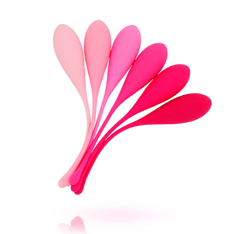 LESLIE - KEGEL FIT ENSEMBLE D'ENTRAÎNEMENT MUSCULAIRE PELVIEN 6 PCS LESLIE