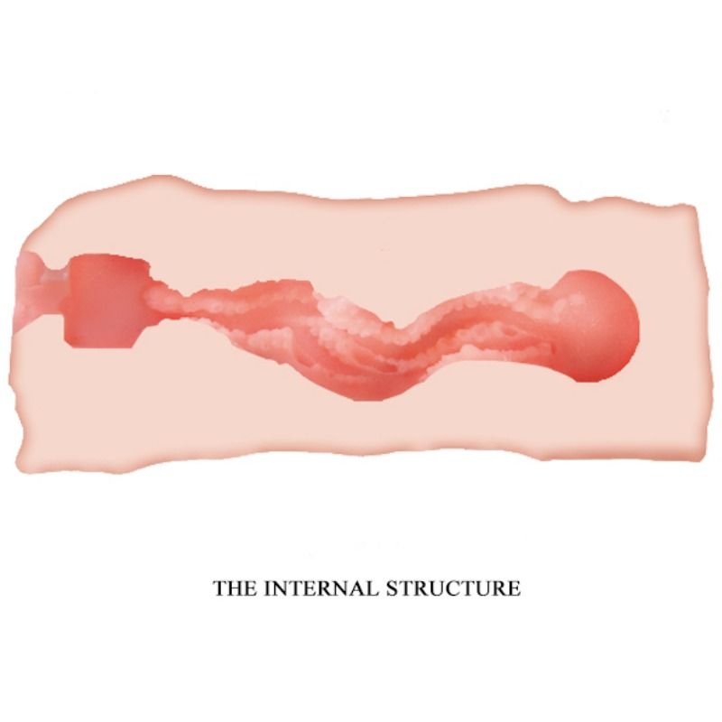 CRAZY BULL - MASTURBATEUR VAGIN JANE 13.5 CM CRAZY BULL