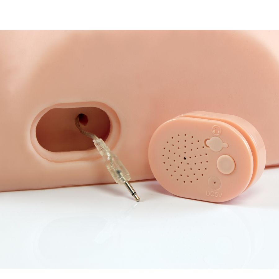 PDX MALE - INTERACTIF BAISEZ-LE SILLY PDX MALE