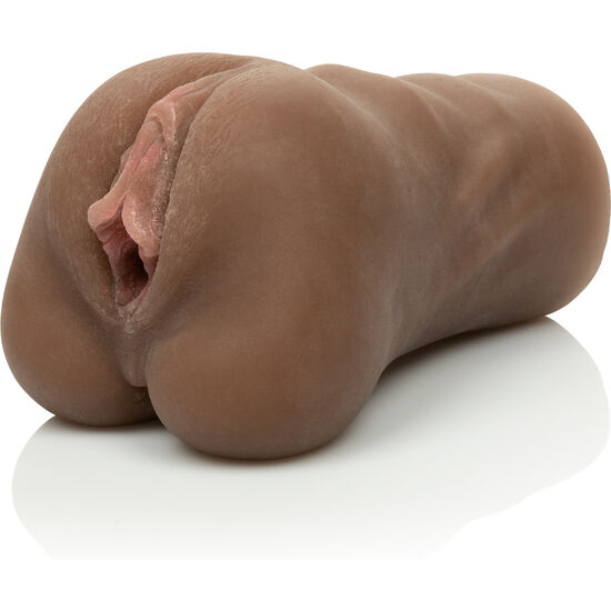 CALEXOTICS - LA COUPÉ LE SOURCILS DE LA CHATTE CALEXOTICS