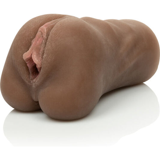 CALEXOTICS - LA COUPÉ LE SOURCILS DE LA CHATTE CALEXOTICS