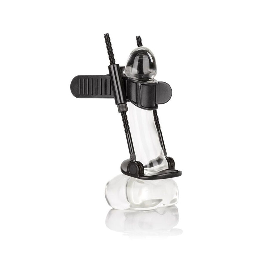 CALEXOTICS - EXTENSION DE PÉNIS CALEXOTICS