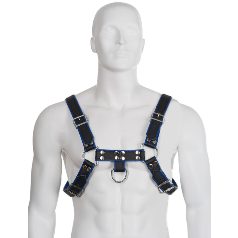 LEATHER BODY - HARNAIS EN CUIR BLEU ET NOIR POITRINE BULLDOG LEATHER BODY